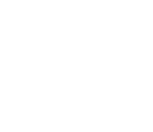Parser